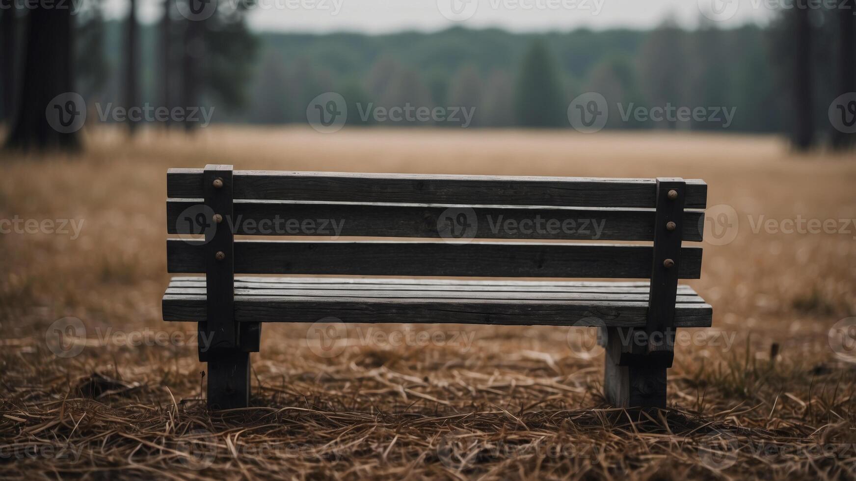 lonely wooden bench on a field with a forest as background executed in black and white. photo