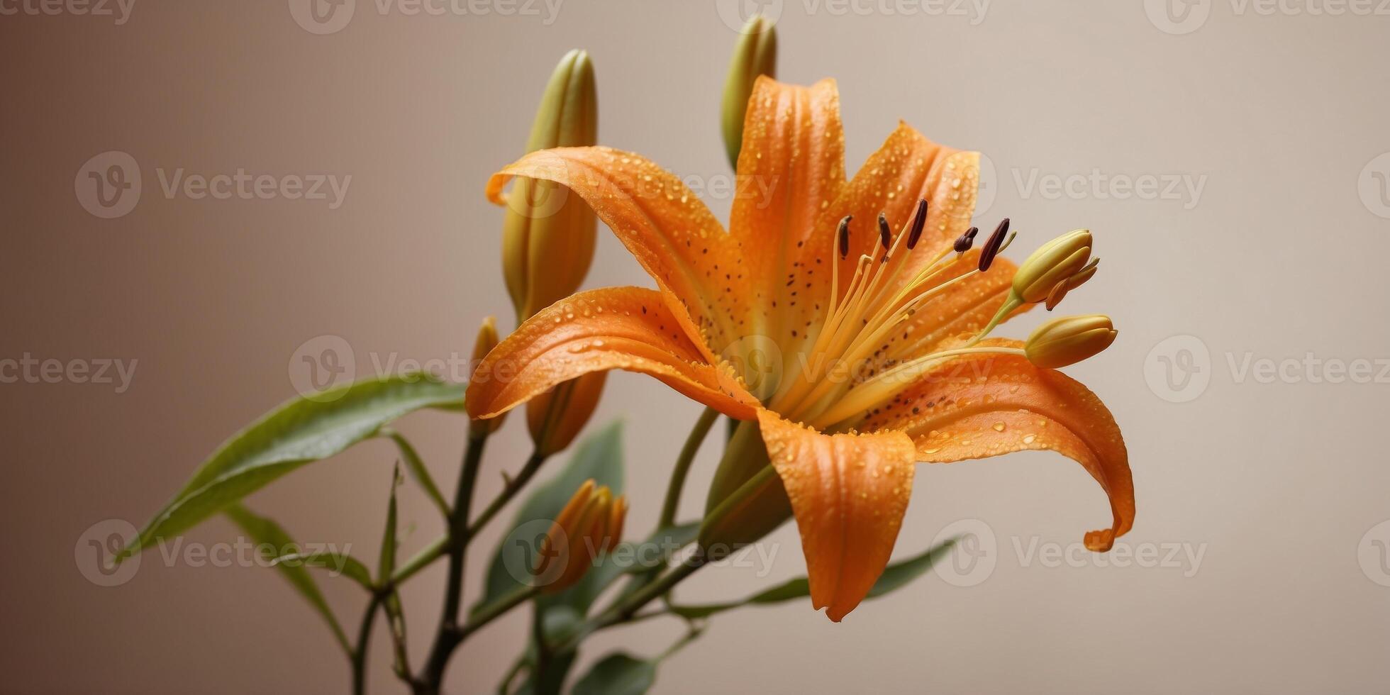 An orange background adorned with golden foliage and buds on a stucco lily. photo