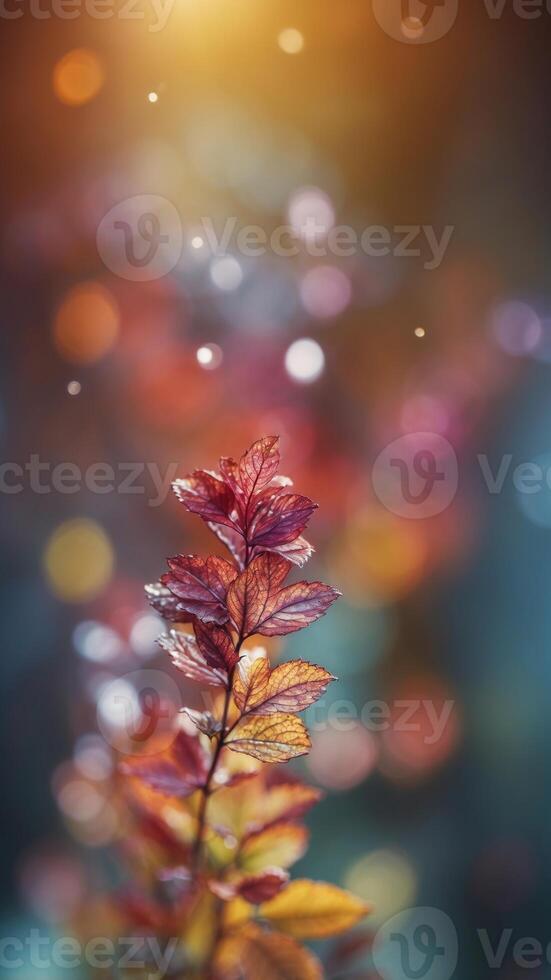 aesthetic presentation colorful background. photo