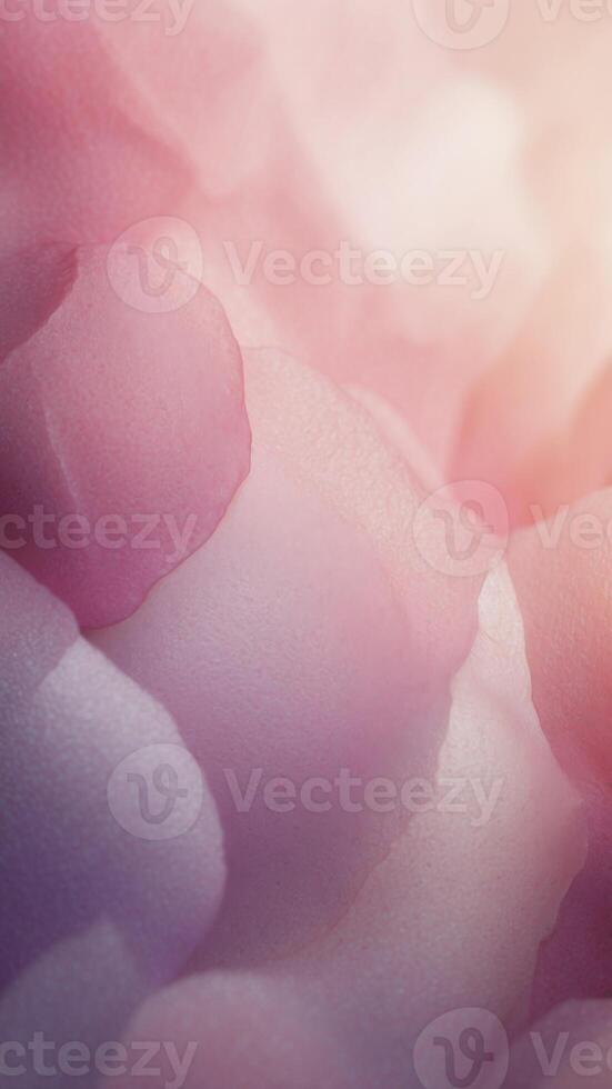 Soft pink and purple watercolor background. photo