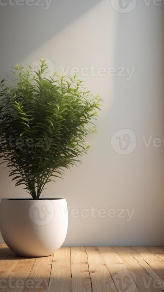 Blank white wall wooden floor modern pot. photo