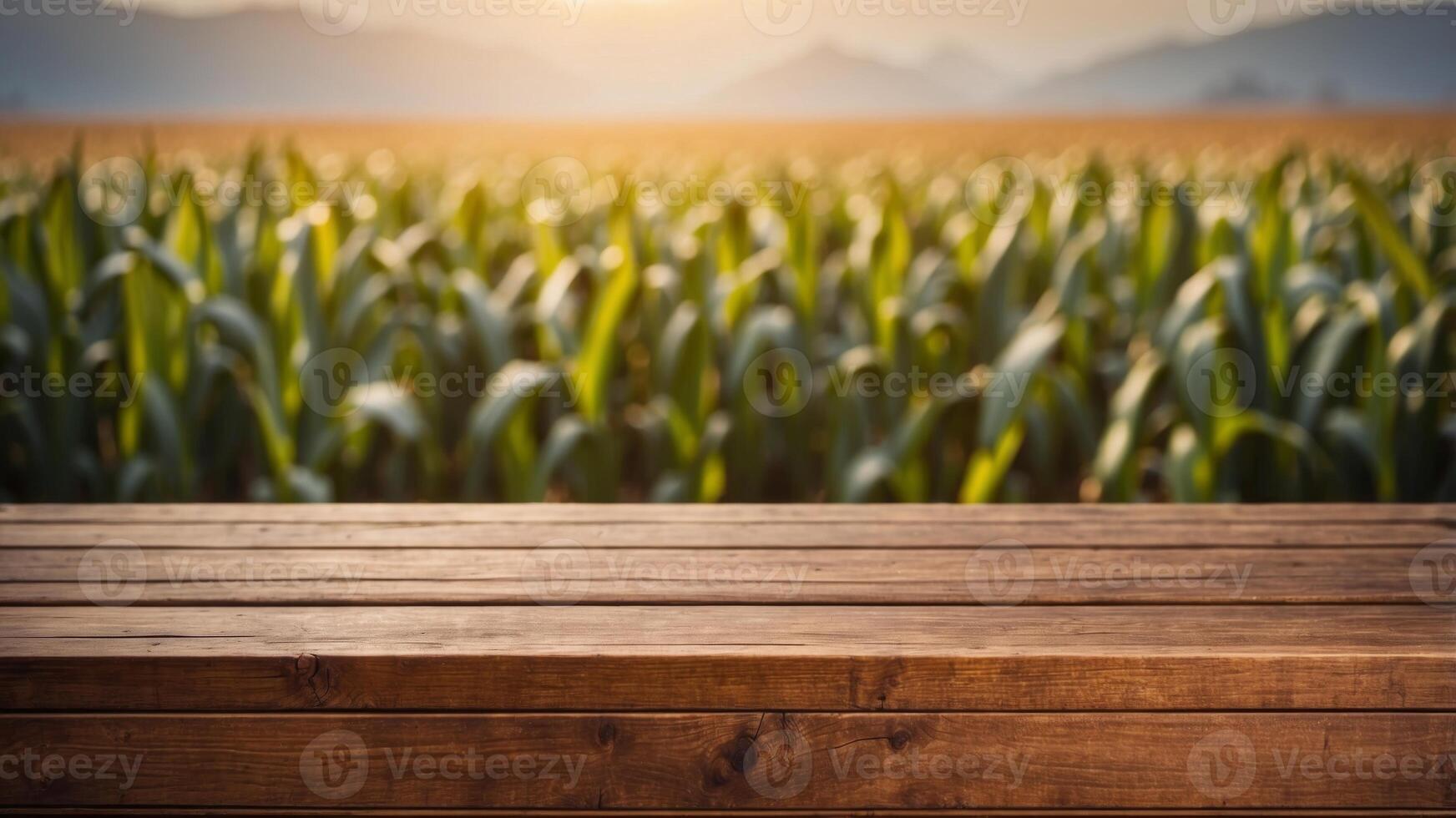 Frontal view of an empty wooden brown table top with blur background of corn field. photo