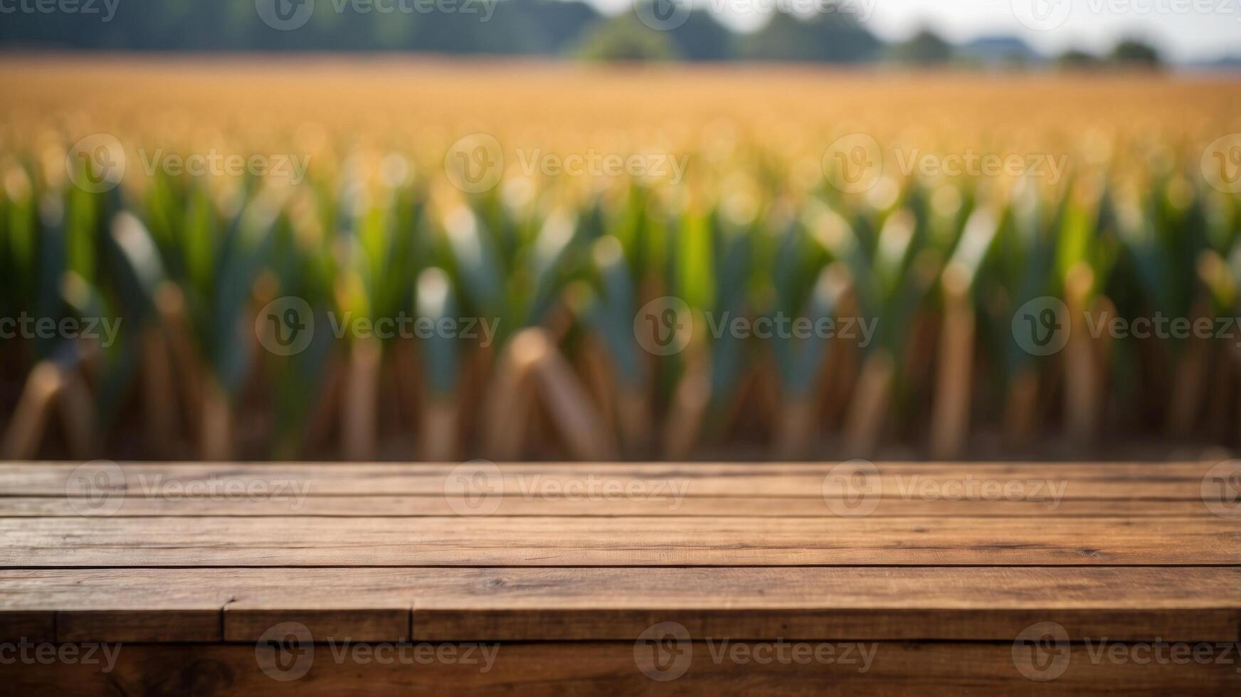 Frontal view of an empty wooden brown table top with blur background of corn field. photo