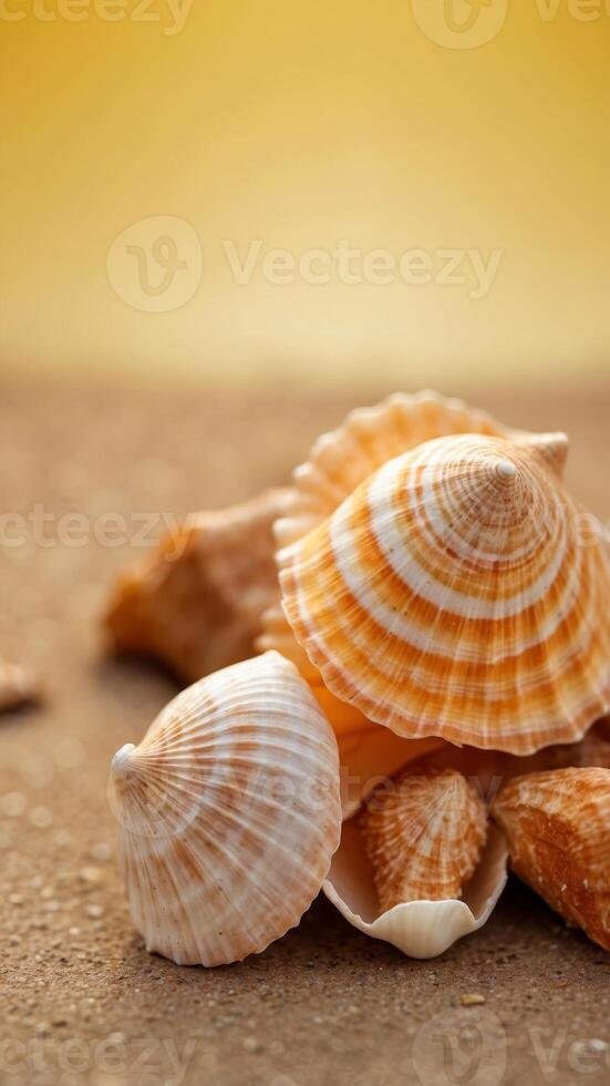 seashell on yellow background with copy space. photo