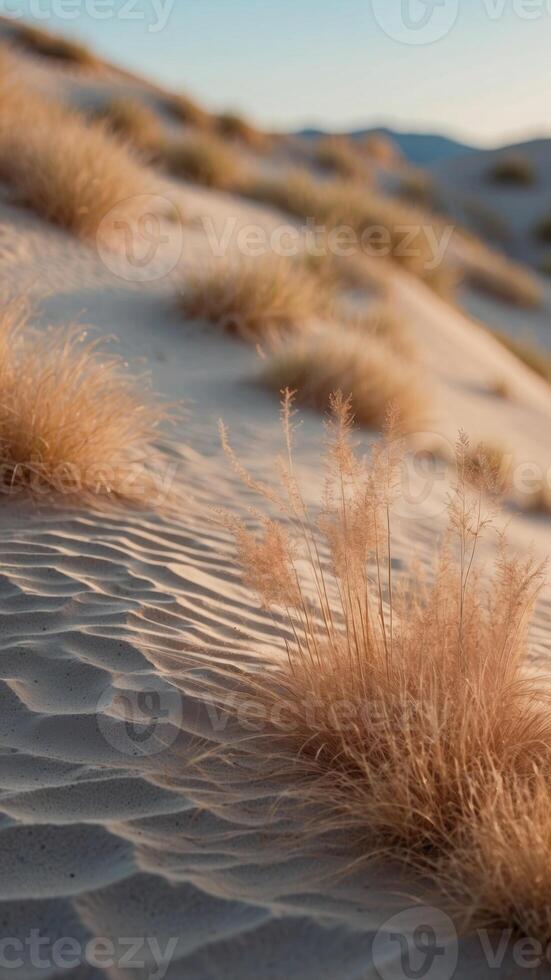 sand dunes background in peach fuzz and blue colors. photo