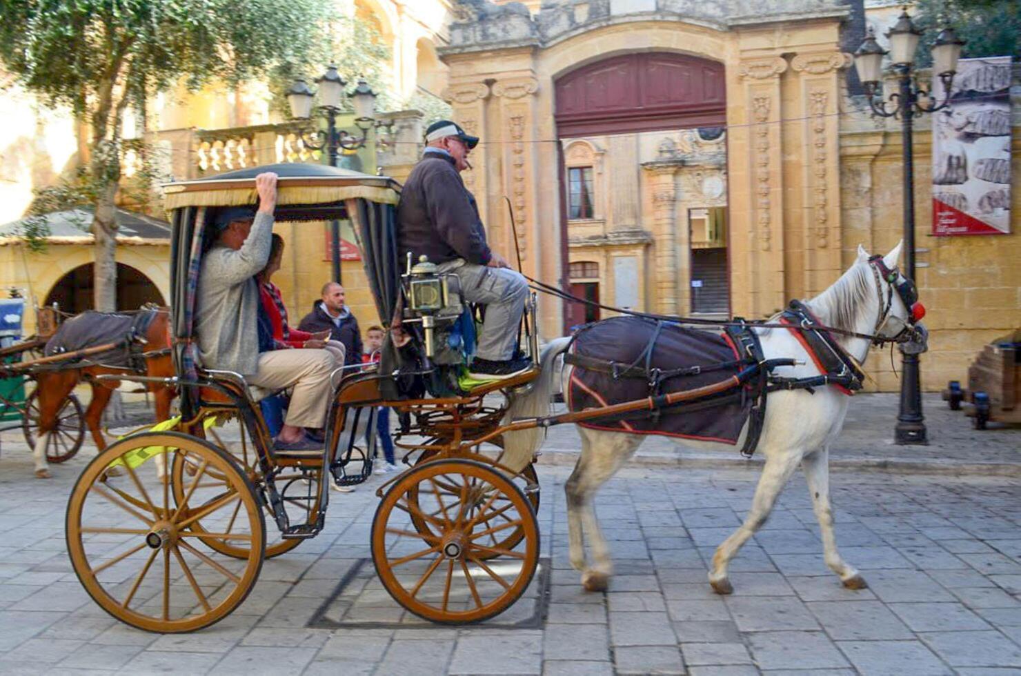 Horse and carriage in the city Rabat in country of Malta photo