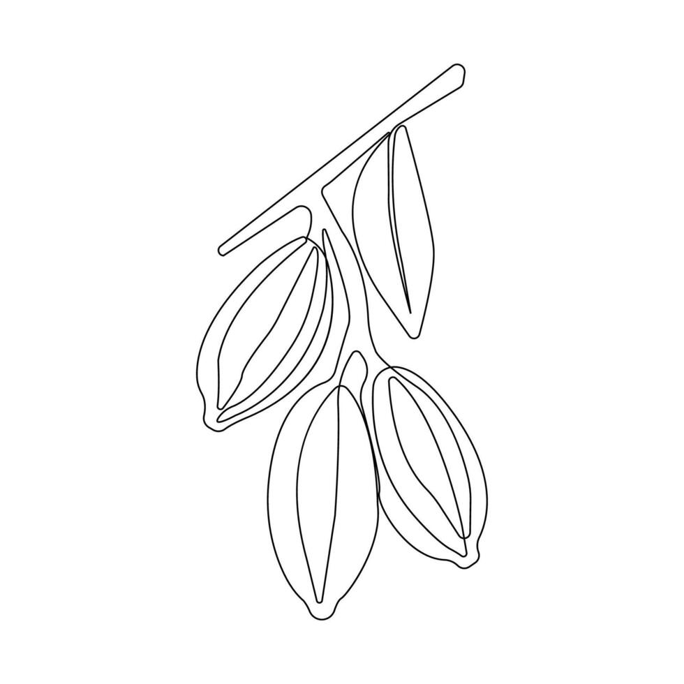 Continuous single-line art drawing of Cocoa tree. Cocoa bean outline vector