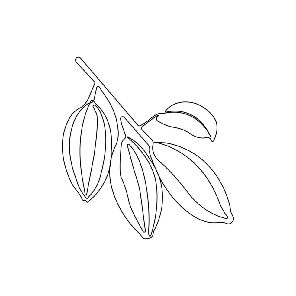 Simple hand-drawn cocoa tree linear drawing. Cocoa bean outline vector