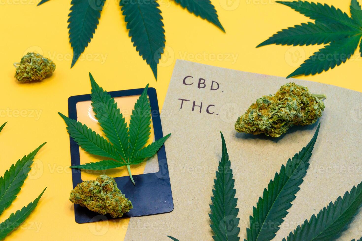 Top view of a cannabis buds with green leaf and brown paper on yellow isolated background, Scientific experiment equipment in the laboratory, concept of marijuana leaves oil extract, THC, CBD. photo