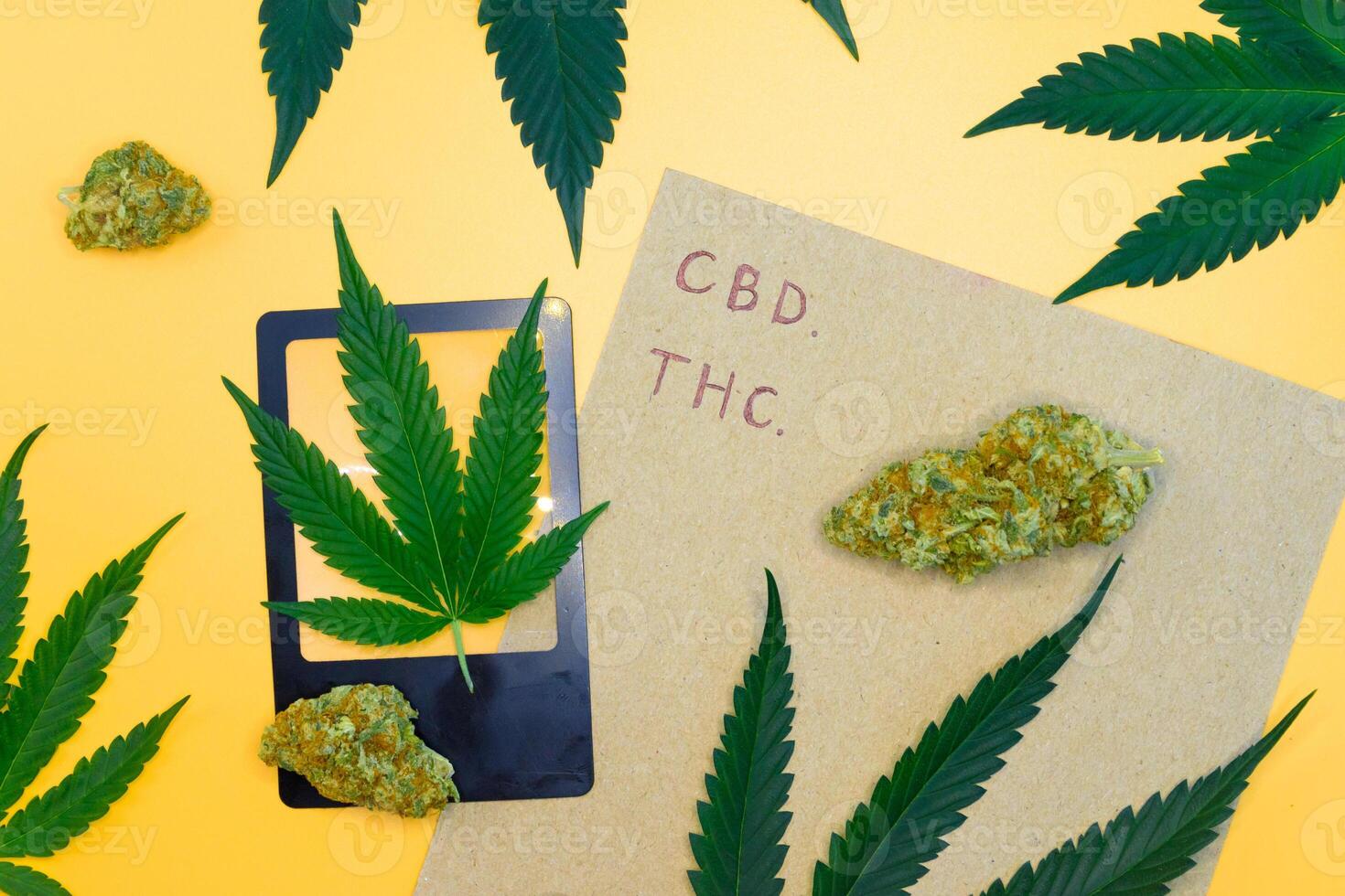 Top view of a cannabis buds with green leaf and brown paper on yellow isolated background, Scientific experiment equipment in the laboratory, concept of marijuana leaves oil extract, THC, CBD. photo
