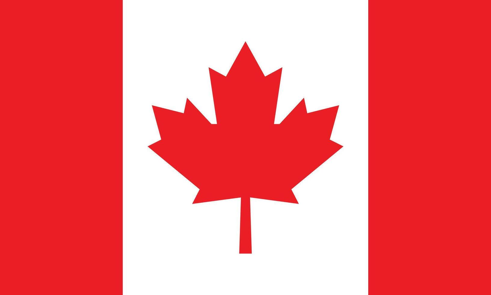 The national flag of Canada. Canadian national symbol. An illustration of the Canadian flag. vector