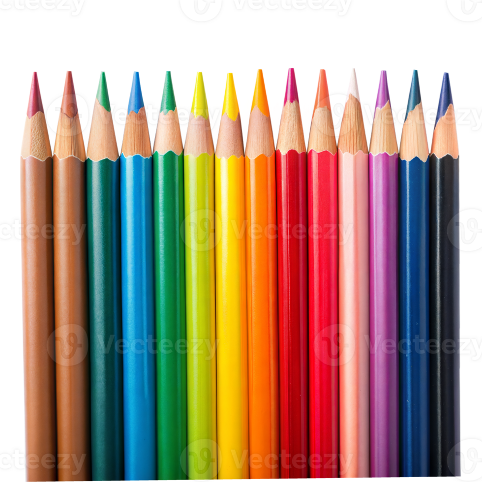 A colorful set of colored pencils isolated on transparent background png
