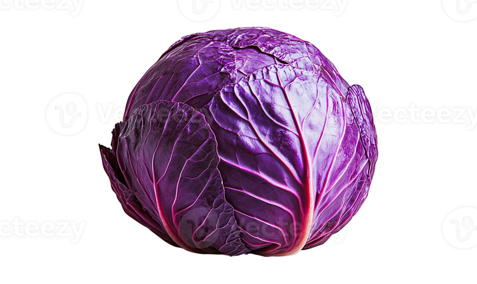 Red cabbage, transparent background png