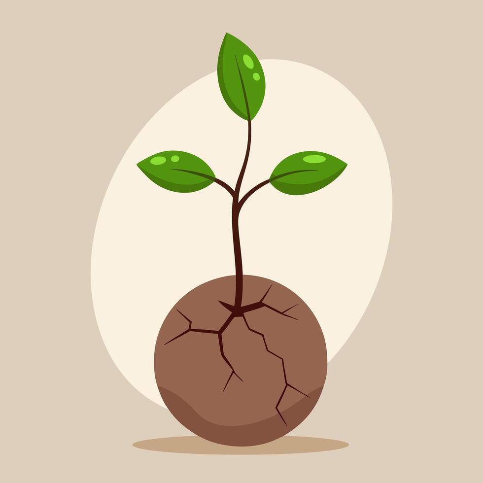 young green sprout from the seed vector