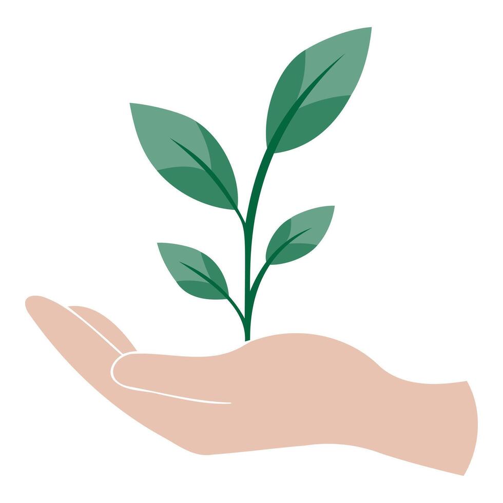 green leaf , a stylized icon symbolizing growth and nature, resting gently in the curves of a softly focused human hand vector