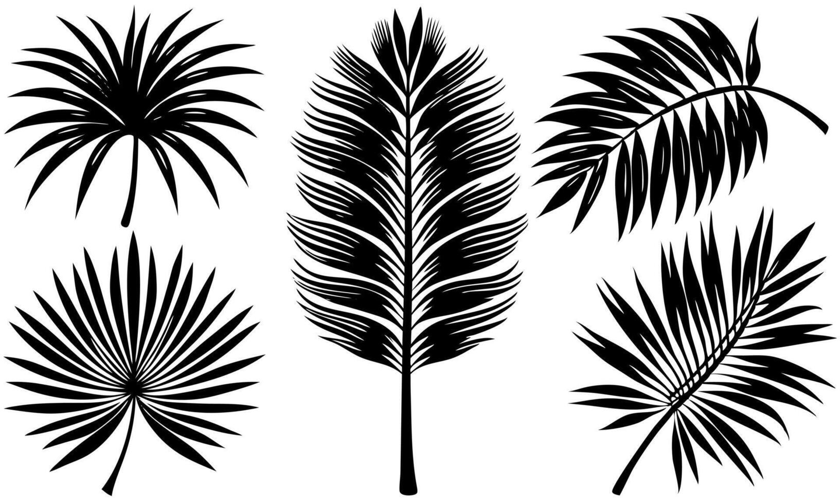 Set of 5 simple palm tree leaf silhouette on white background vector