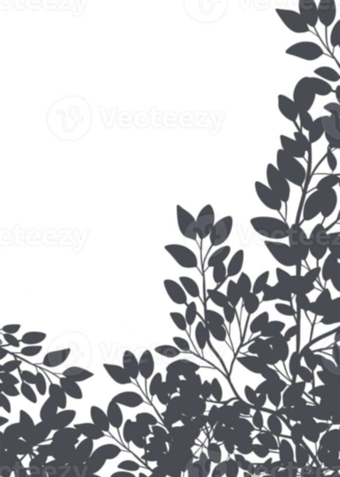 Leaves Shadow Silhouette border, Illustration isolated frame of Shadow leaf overlay background, Concept for elements design decoration for Spring, Summer Banner png