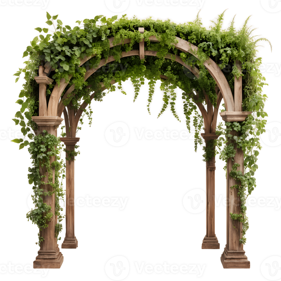 Arch with Vines isolated on transparent background png