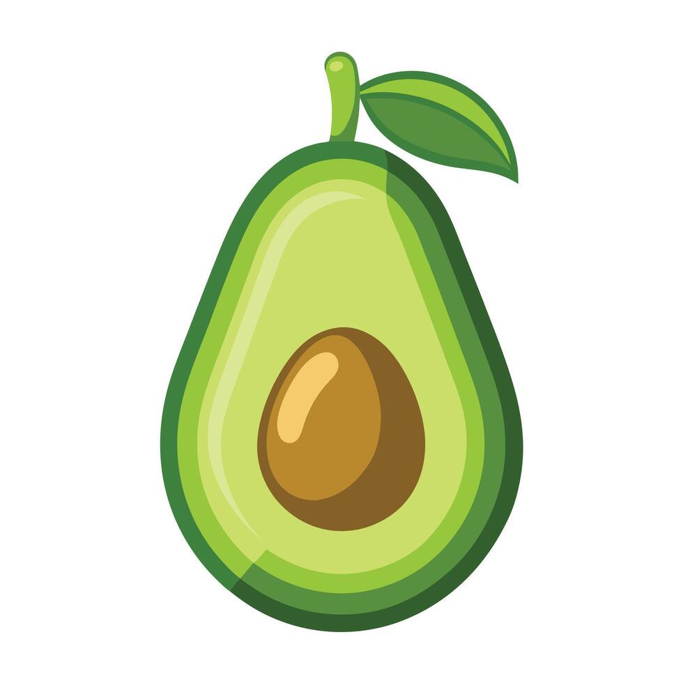 Avocado Illustration isolated on white background vector