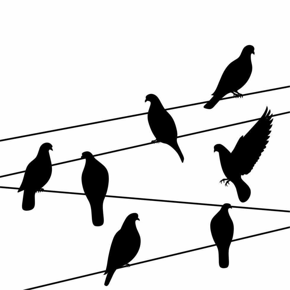 Silhouette of a group of pigeons perched on an electric pole cable on a white background. A group of black pigeons are on the wires. illustration vector