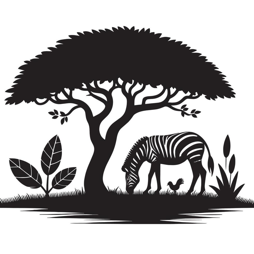 silhouette of zebra eat in field of savannah vector