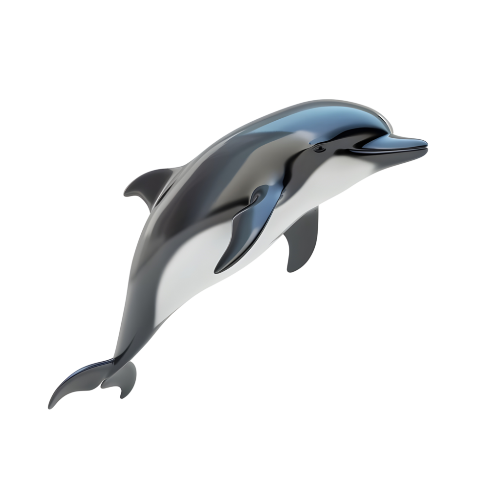 Jumping Dolphin isolated on transparent background png