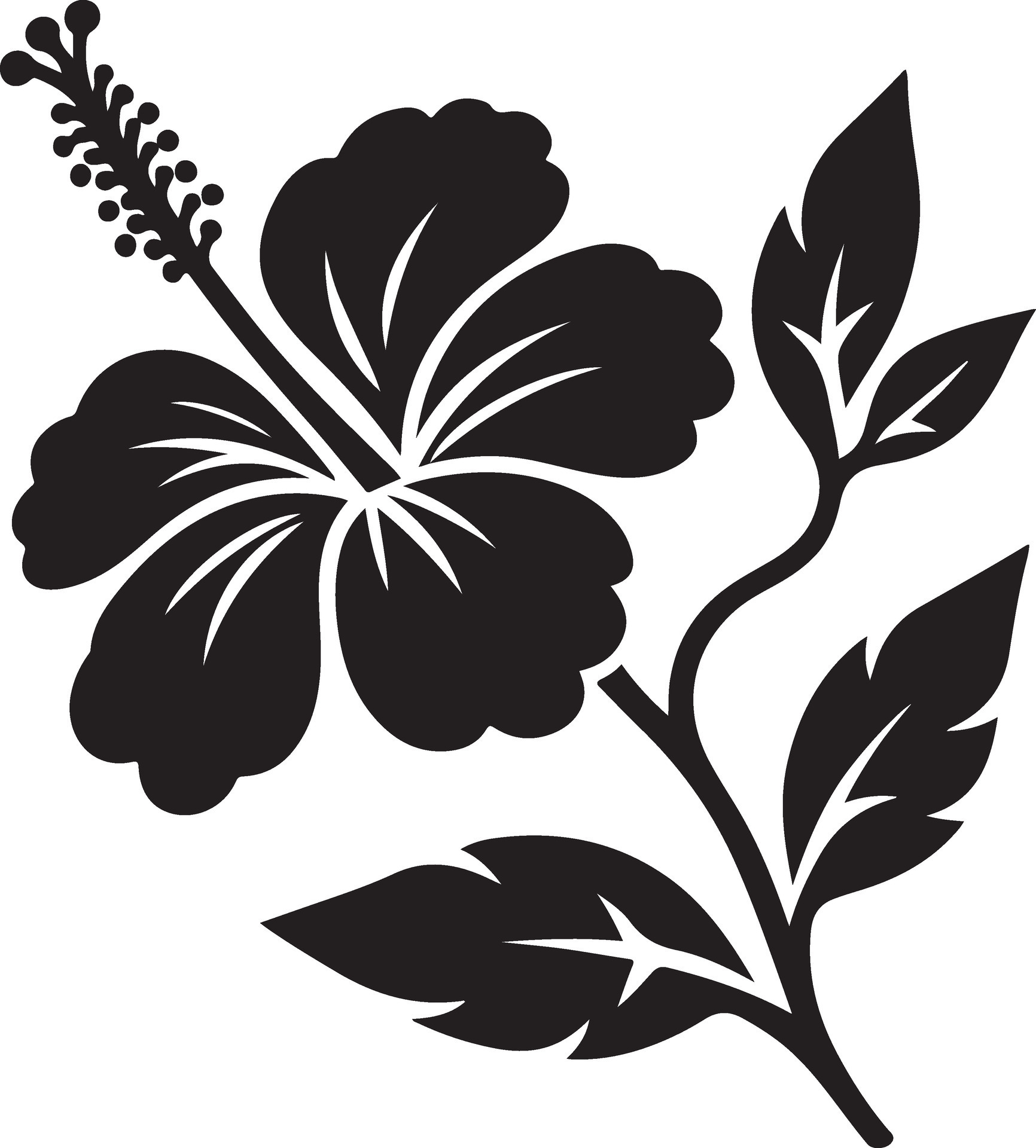 Hibiscus black and white template 49885935 Vector Art at Vecteezy