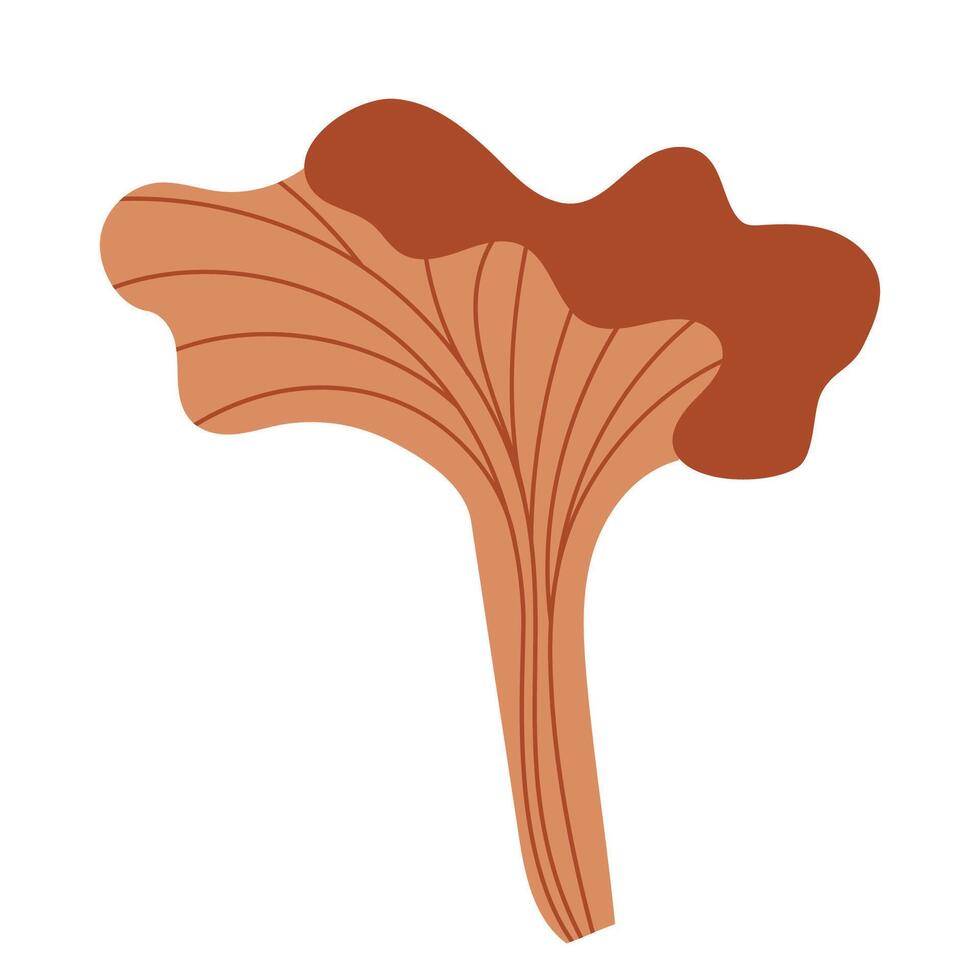 Hand draw autumn chanterelle mushroom isolated on a white background.Single illustration in doodle flat style. Clipart cozy illustrations for print, wrapping, packaging.Forest food. vector