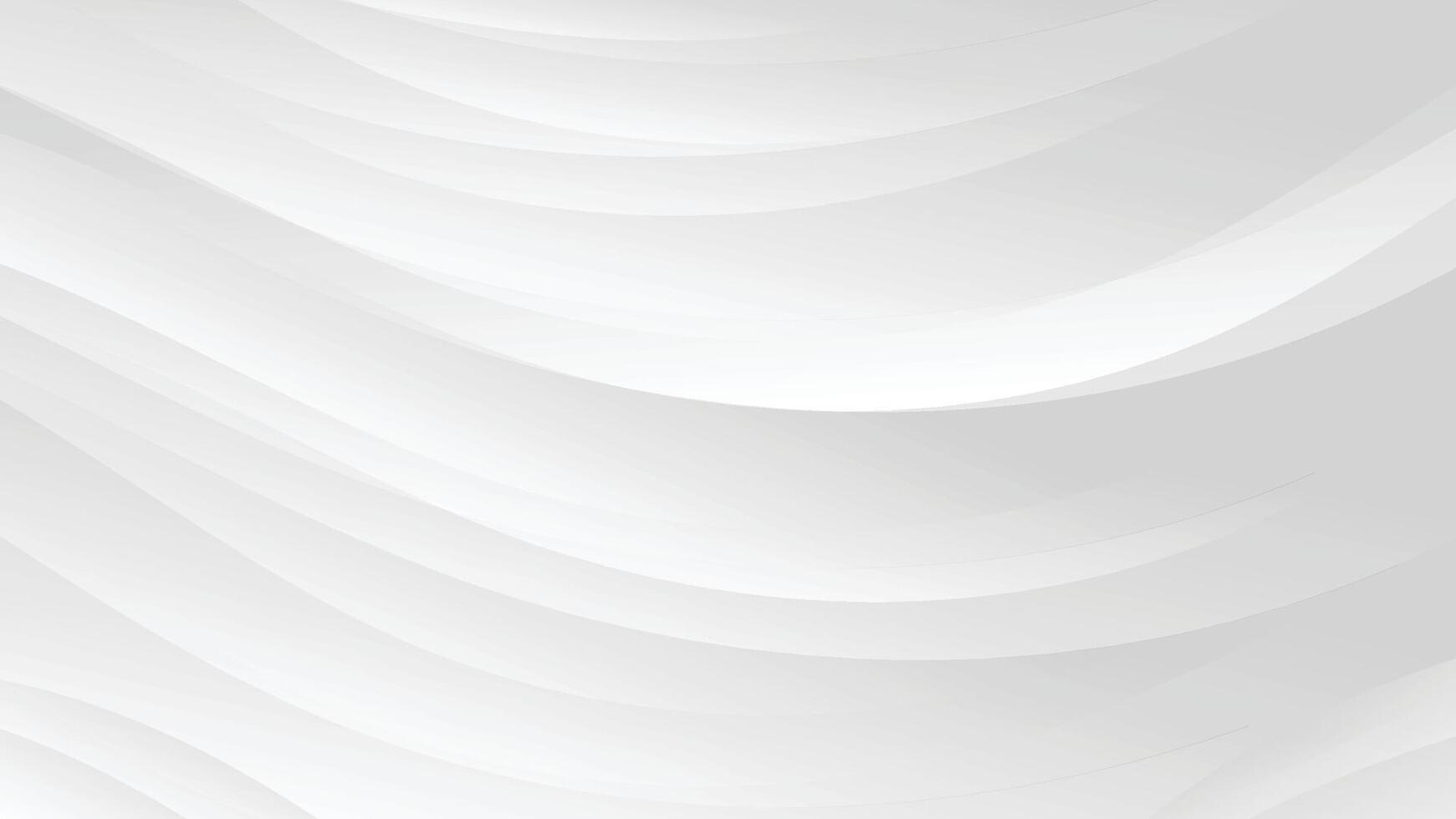 abstract white background with grey gradient color and elegant dynamic line decoration vector