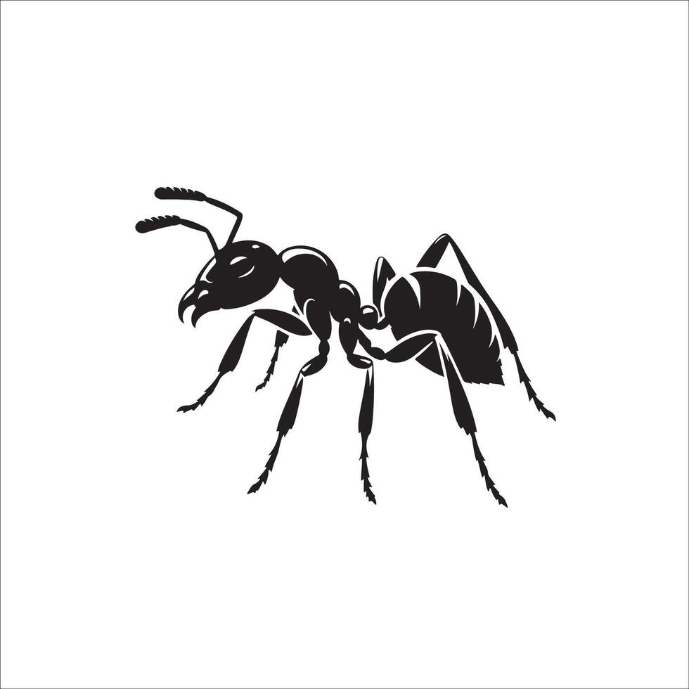 Ant Silhouette design free vector