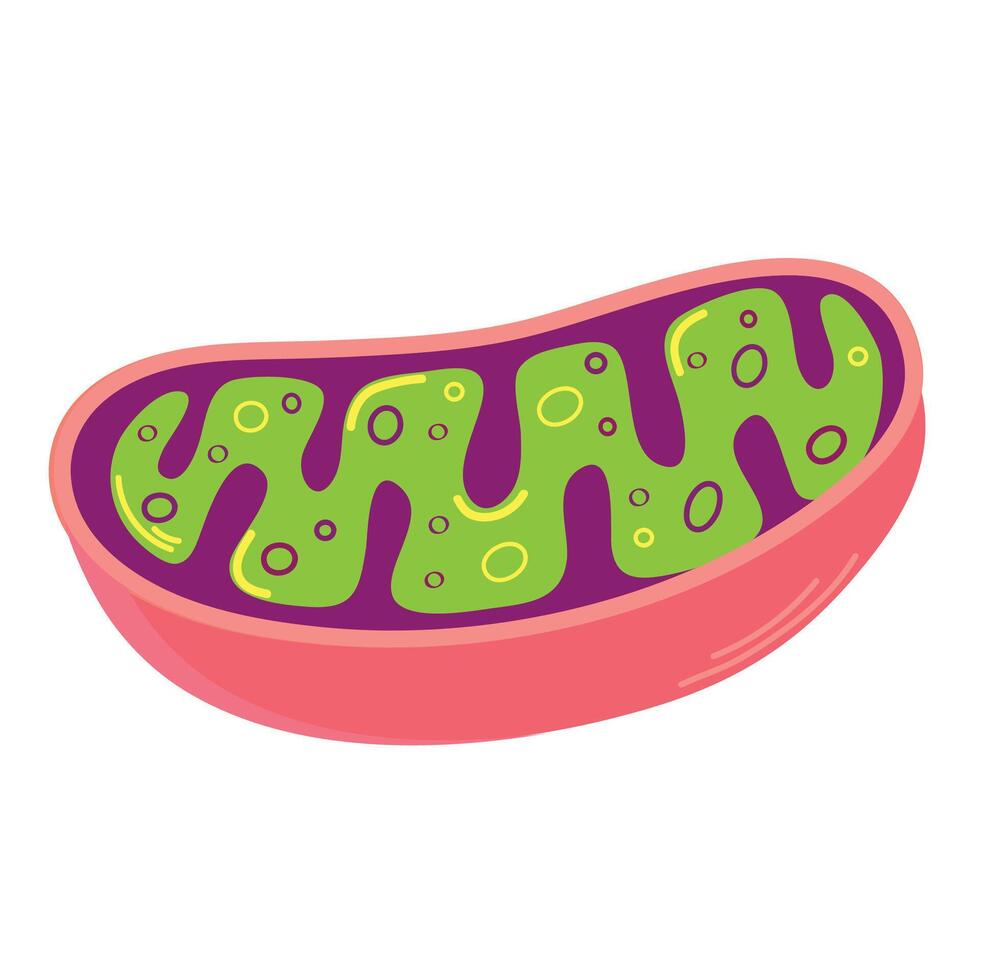Mitochondria icon clipart avatar logtotype isolated illustration vector