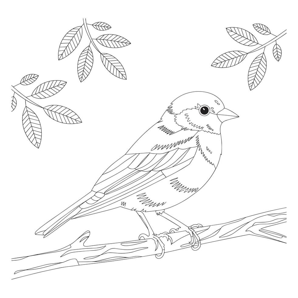 Timeless Black and White Bird Drawing vector