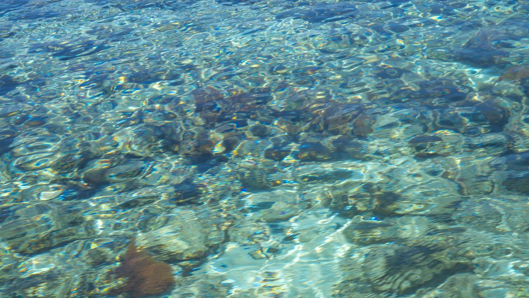 Crystal Clear Water photo
