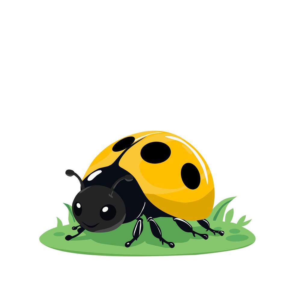 a ladybug is sitting on a white background vector
