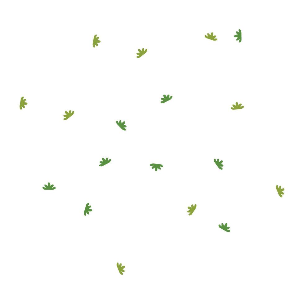 Green Parsley Leaves sliced illustration vector
