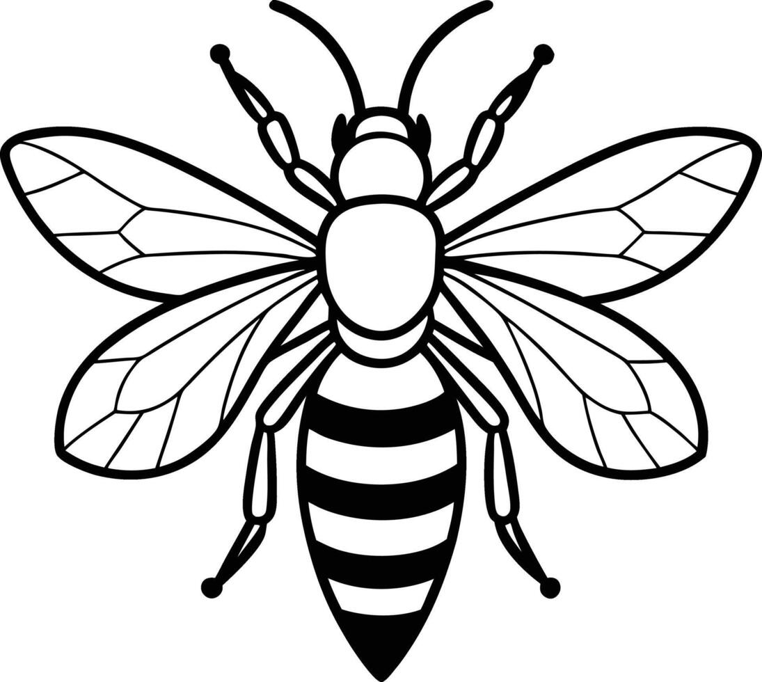 A creative minimalistic smooth outline of a bee vector