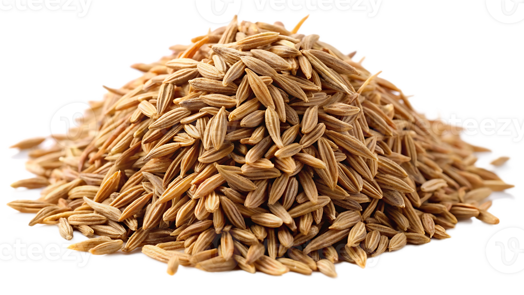 Cumin isolated on transparent background png