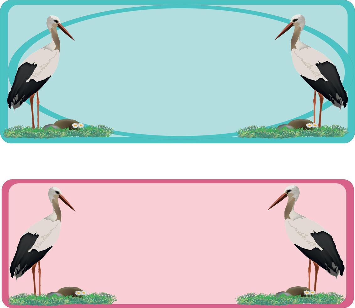 Two storks are standing on a meadow with daisies, on opposite sides of blank banners vector
