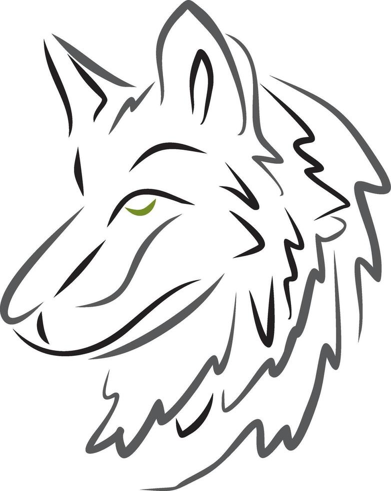 color dog head. Line drawing of a muzzle of a wolf. Schematic representation of an animal. vector