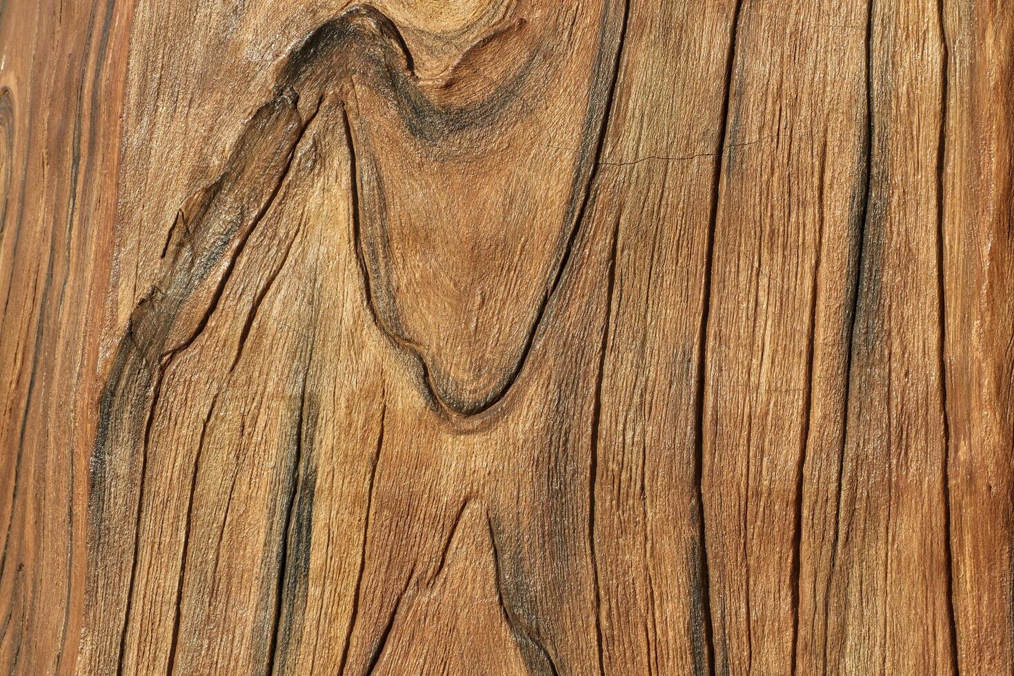 Close-up of stucco with a bark-like pattern. photo
