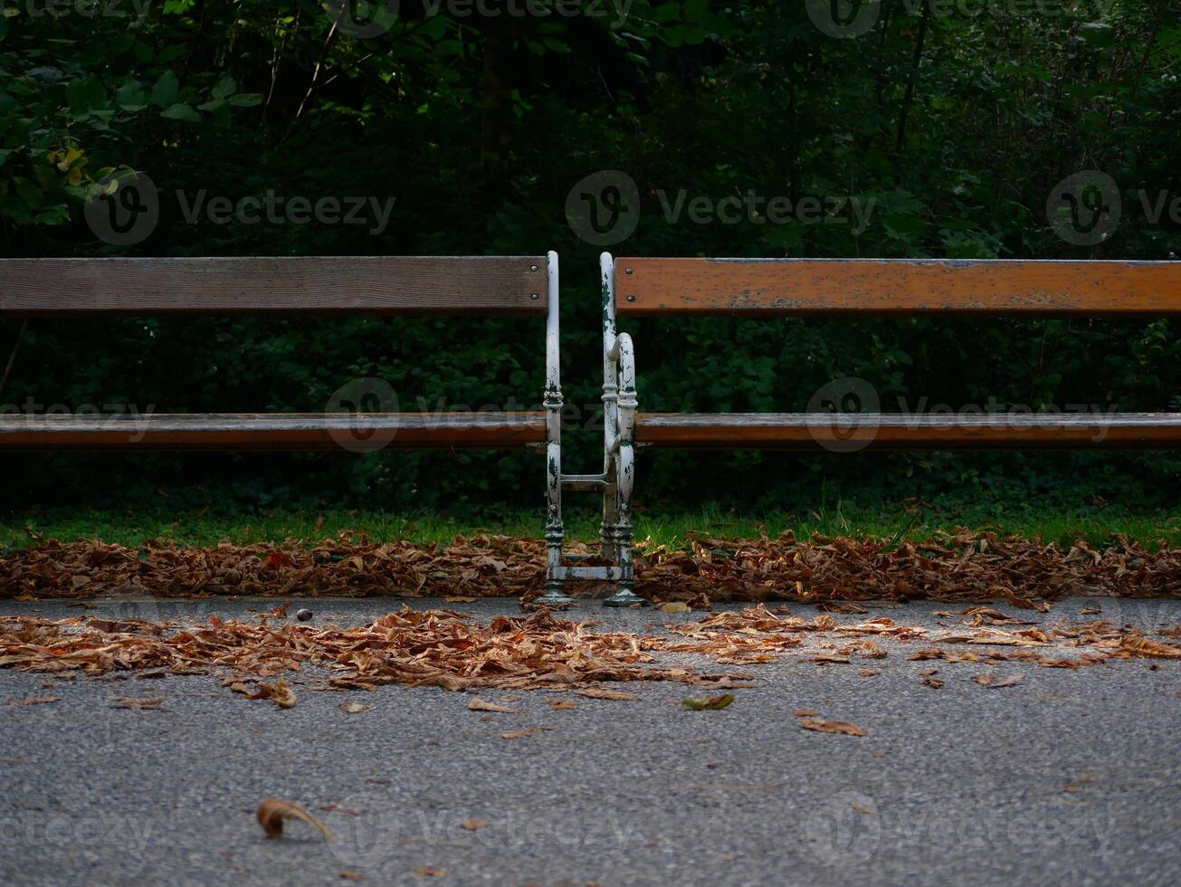 Two benches close up. Autumn colored fallen leaves lie on the ground. Park Turkenschanzpark in Vienna in autumn photo