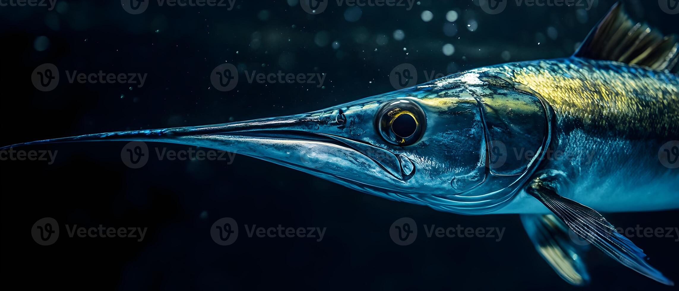 A close-up of a marlin fish with a long, pointed snout, swimming in dark blue water. photo