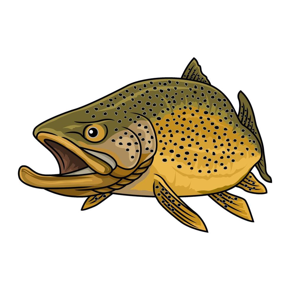 Brown Trout FIsh Fly Fishing with the open mouth illustration vector