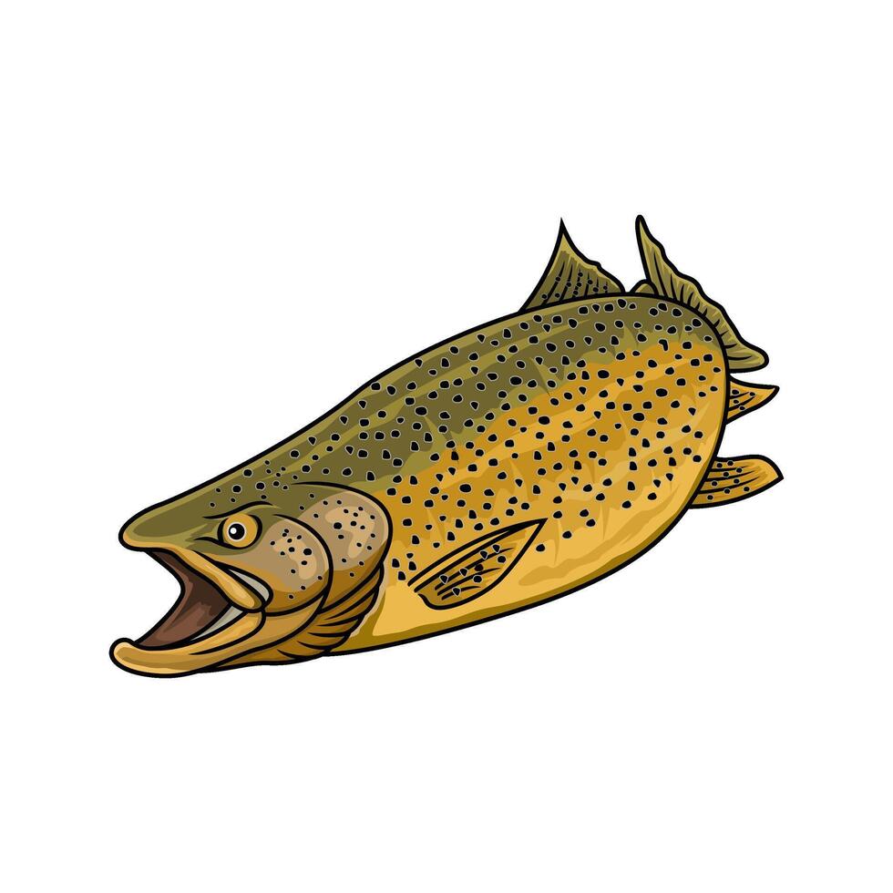 brown trout fish fishing swiming under water vector