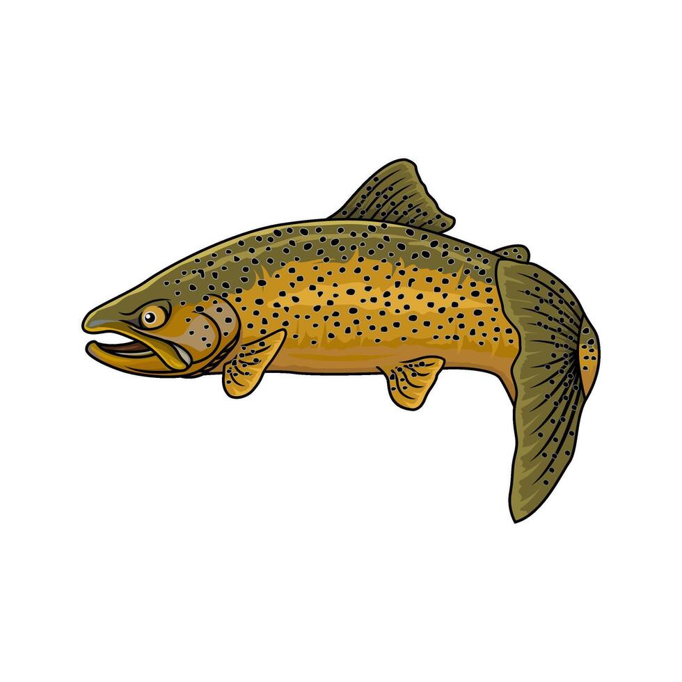 brown trout fishing with tail curled forward vector