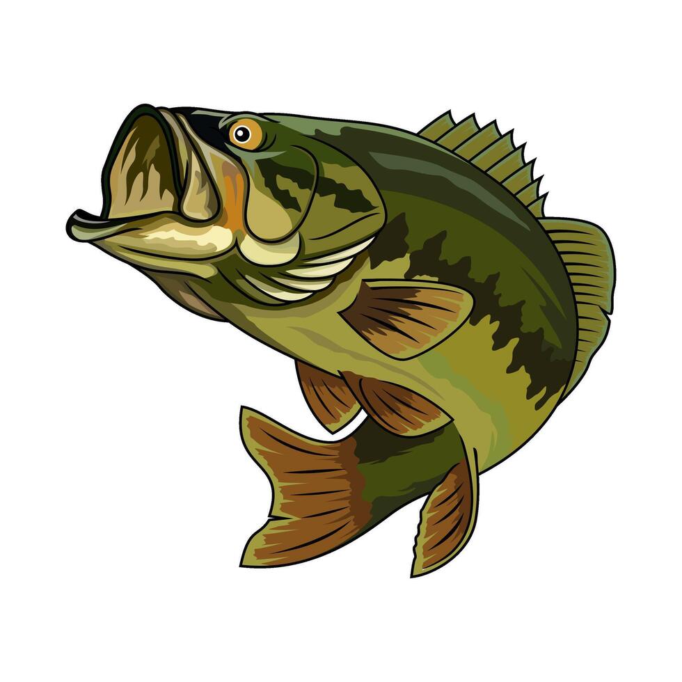 bass fishing illustration jumping after the fishing bait with an open mouth vector
