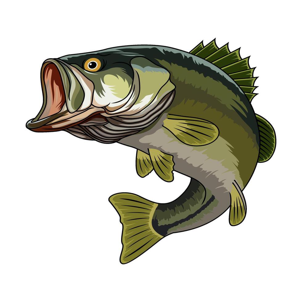 bass fishing illustration jump with mouth open vector