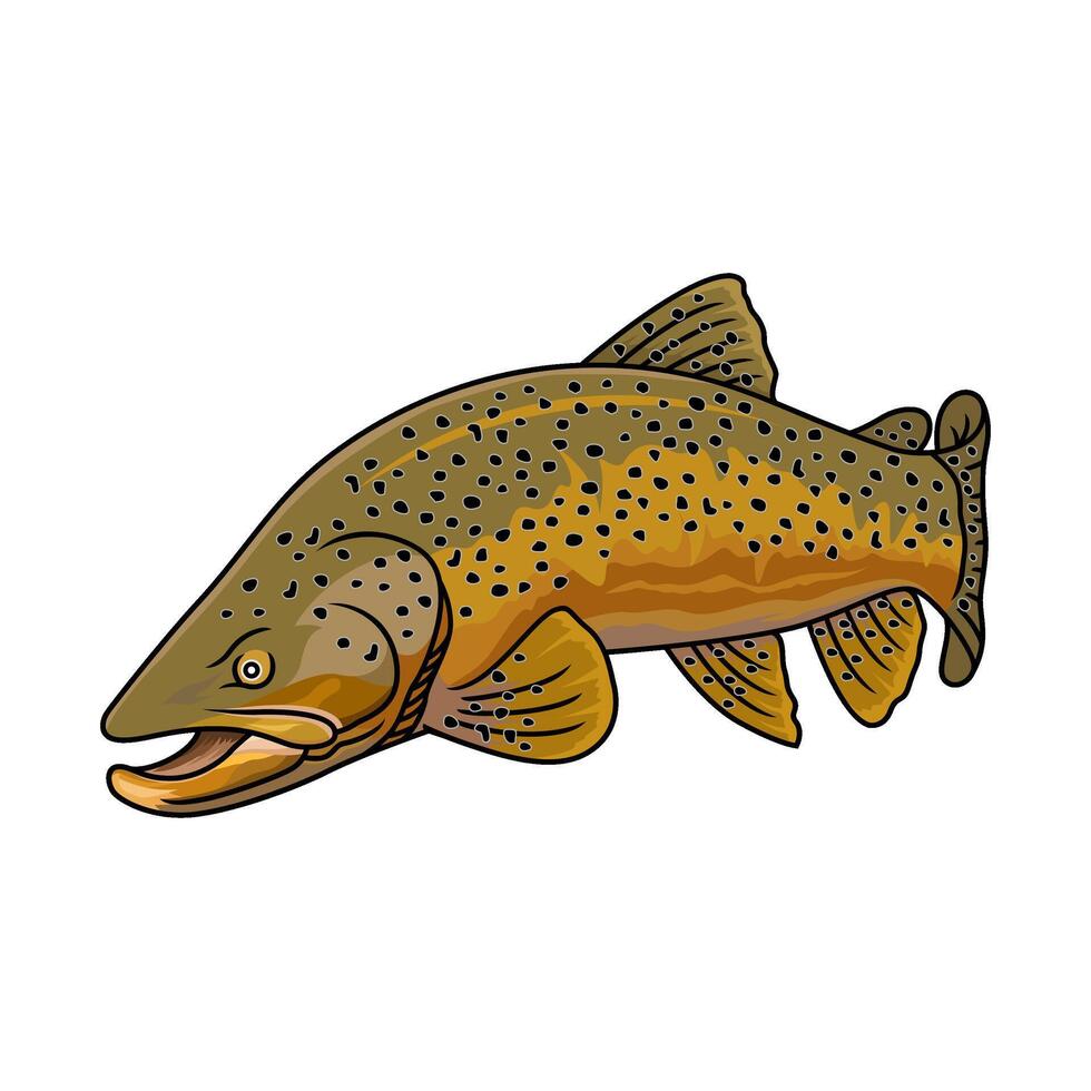 brown trout fishing with eyes looking down vector