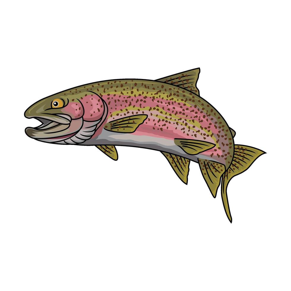 rainbow trout fly fishing ready to jump vector