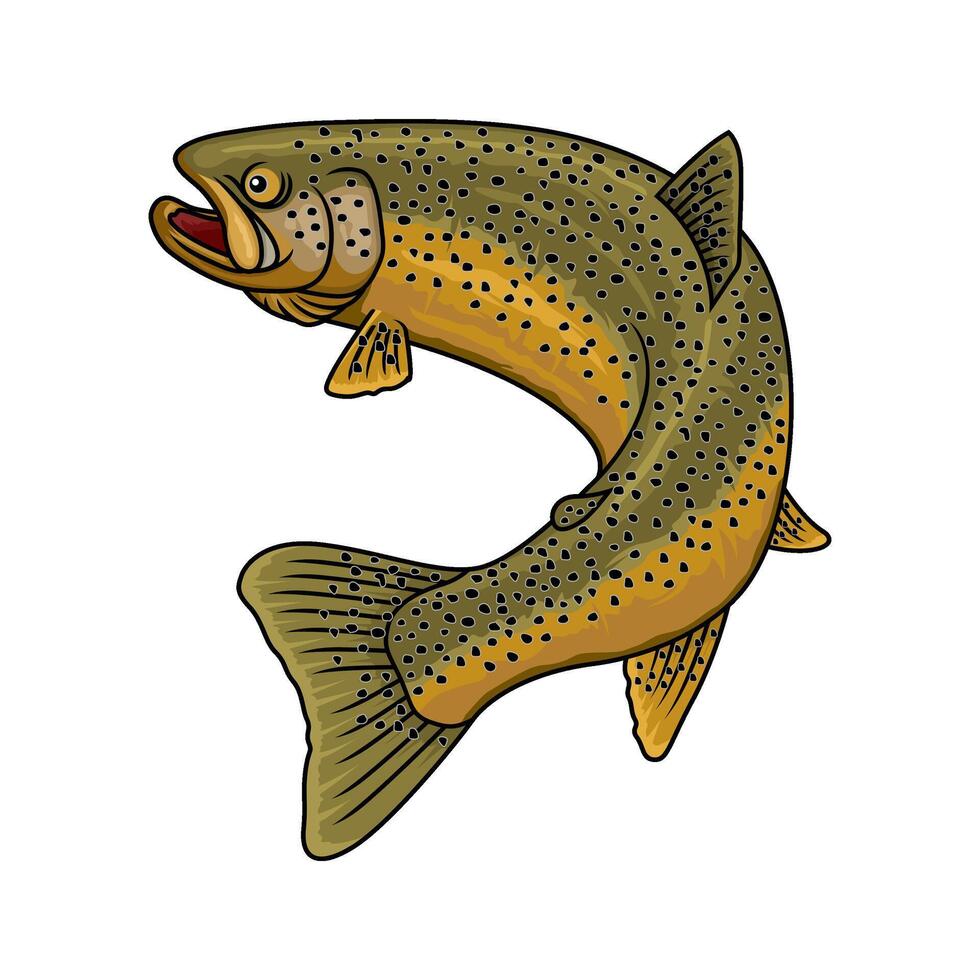 brown trout fishing from a rear perspective vector